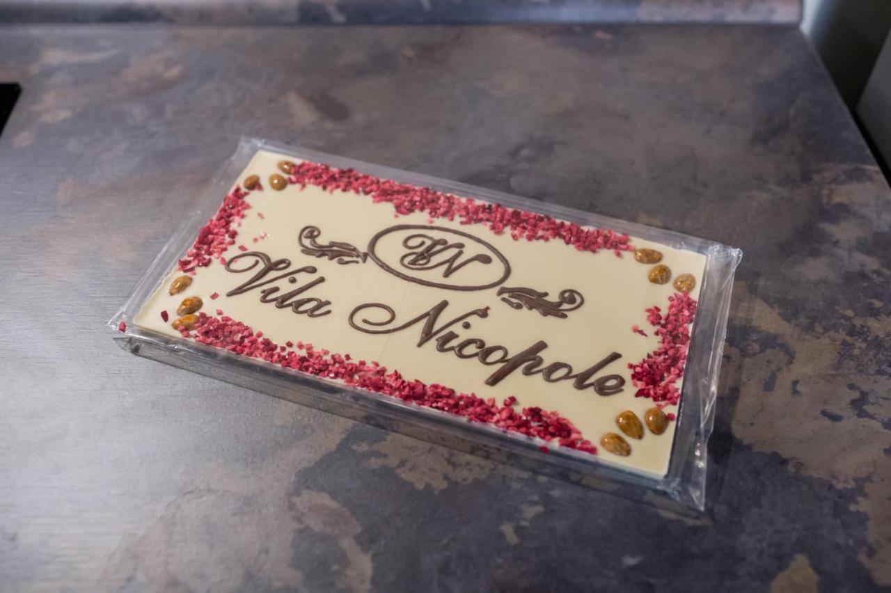 Vila Nicopole Art & Wine Braszów Zewnętrze zdjęcie
