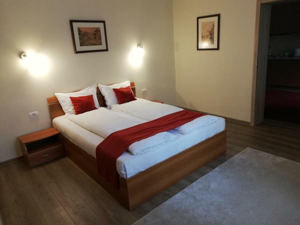 Vila Nicopole Art & Wine Braszów Zewnętrze zdjęcie